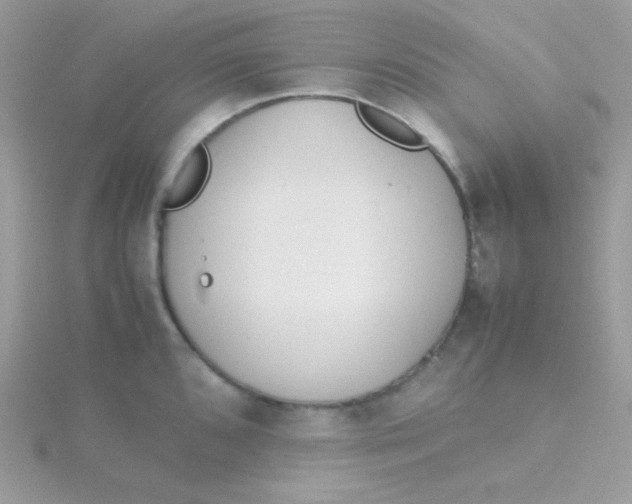 X0000115501096200911271404