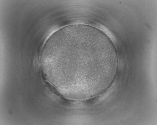 X0000115501097200911271404