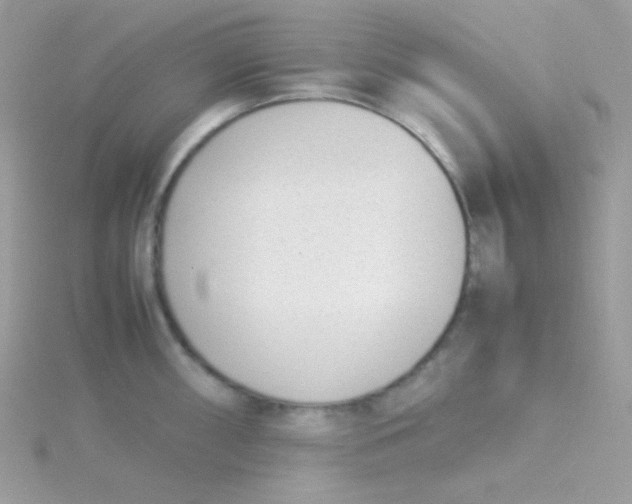 X0000115501098200911271404