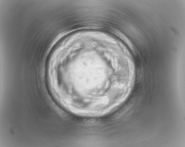 X0000115501099200911271404