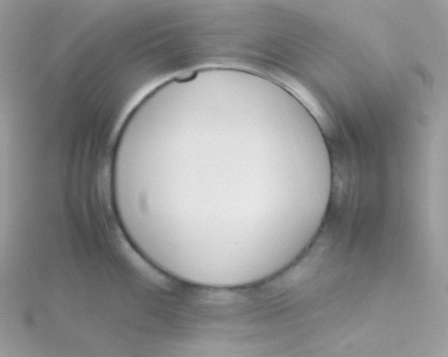 X0000115501100200911271404