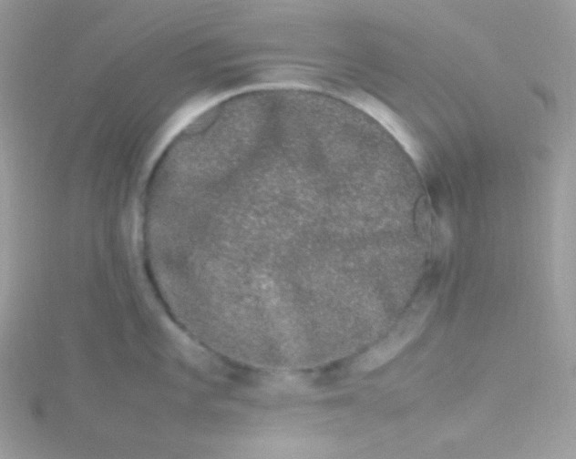 X0000115501101200911271404