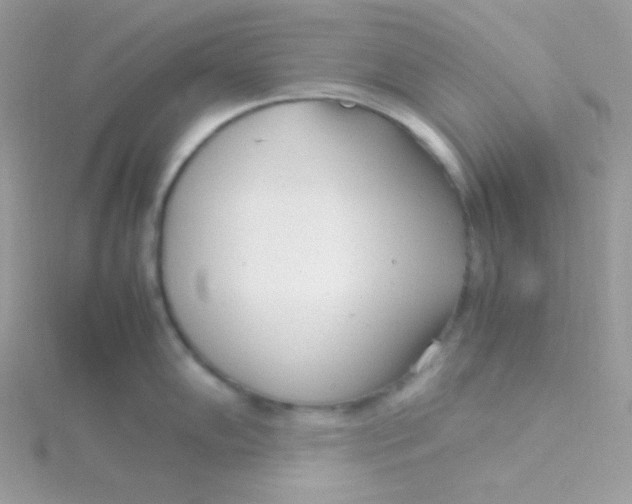 X0000115501102200911271404