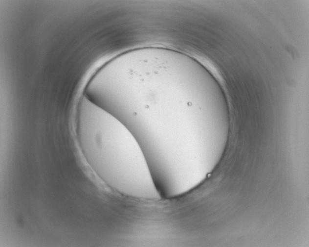 X0000115501104200911271404