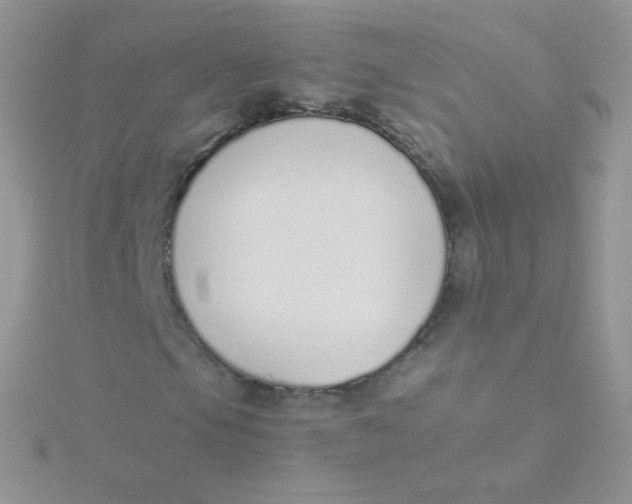 X0000115501105200911271404