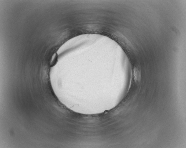 X0000115501107200911271404