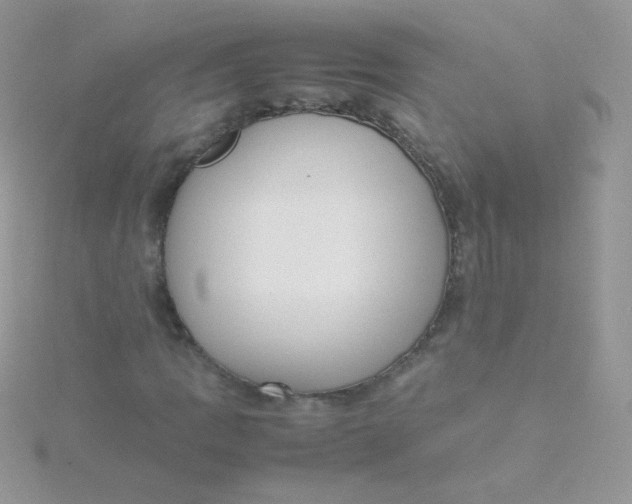 X0000115501109200911271404