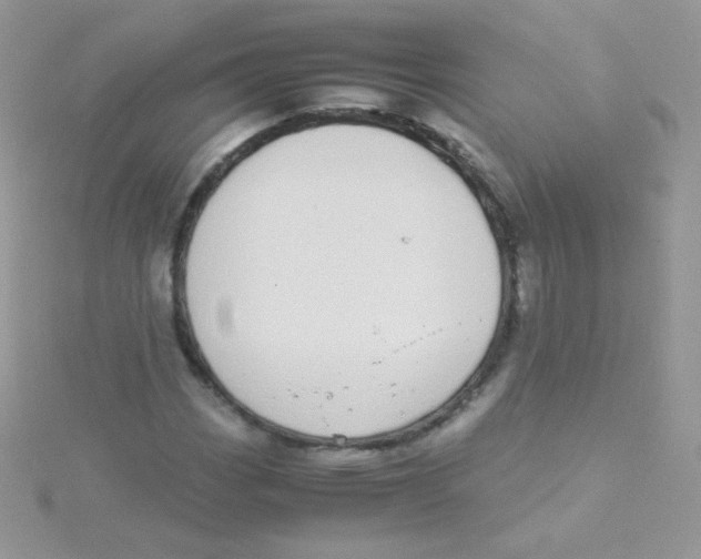 X0000115501113200911271404