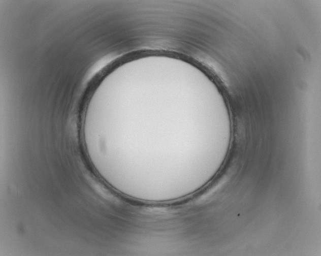 X0000115501114200911271404