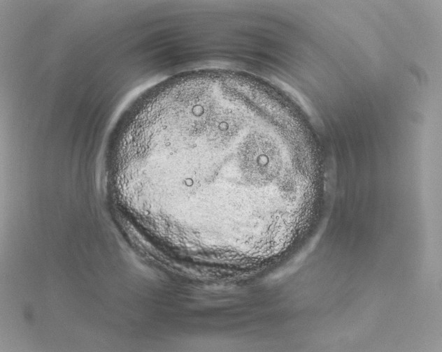 X0000115501117200911271404