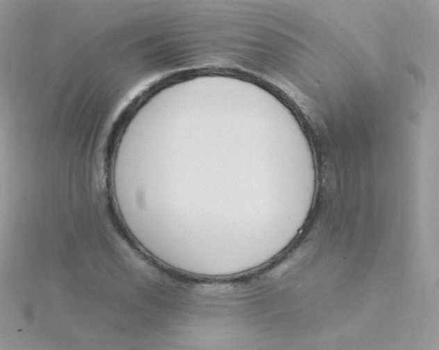 X0000115501118200911271404