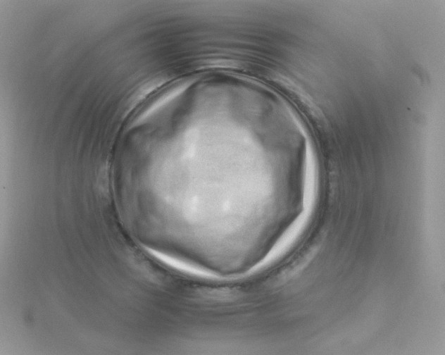 X0000115501121200911271404