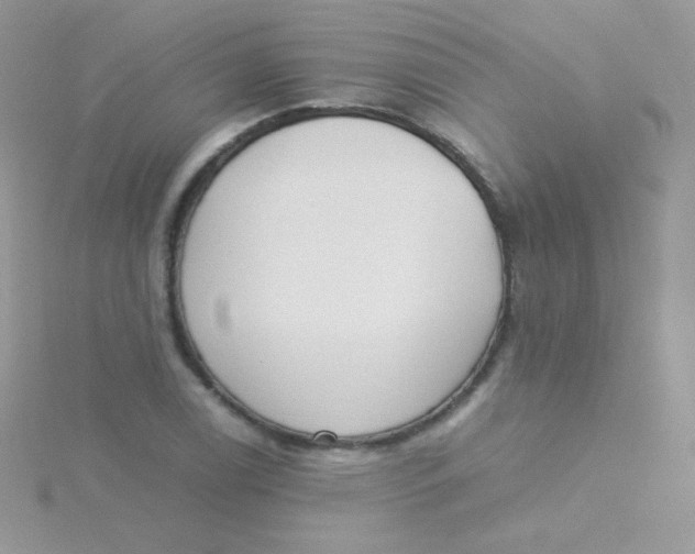 X0000115501122200911271404