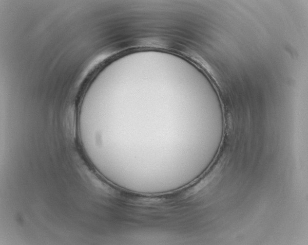 X0000115501123200911271404