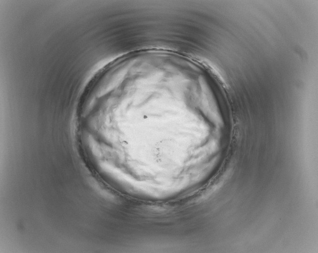 X0000115501125200911271404