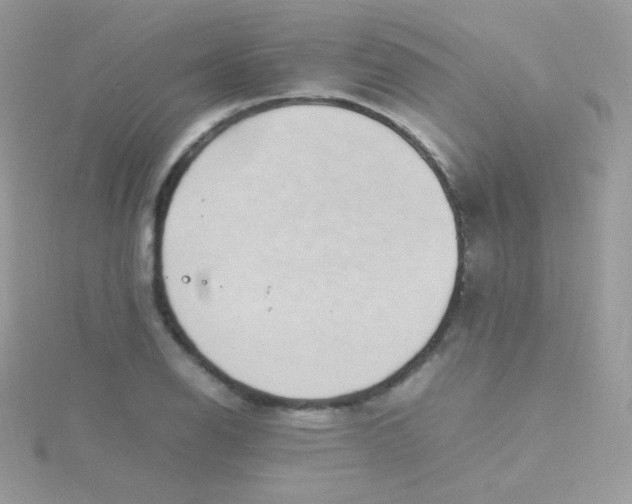 X0000115501126200911271404