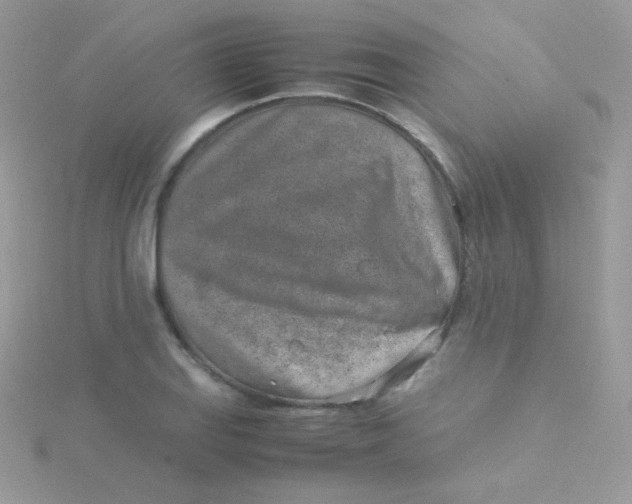 X0000115501127200911271404