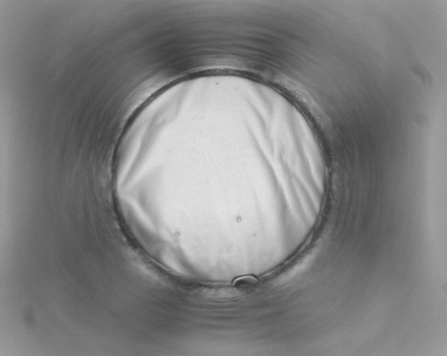 X0000115501129200911271404