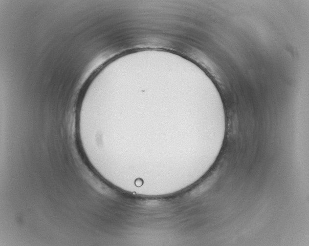 X0000115501130200911271404