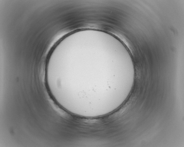 X0000115501131200911271404