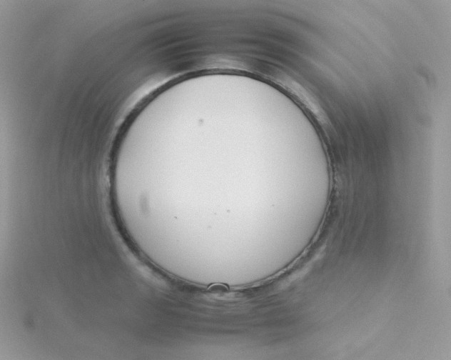 X0000115501133200911271404