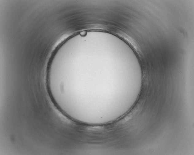 X0000115501135200911271404