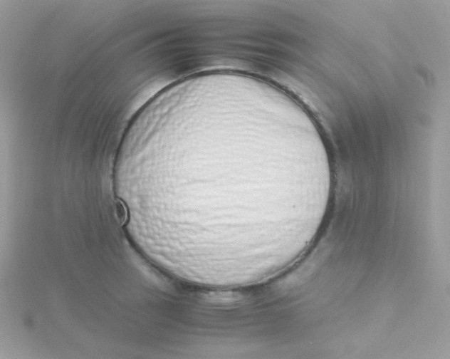 X0000115501137200911271404