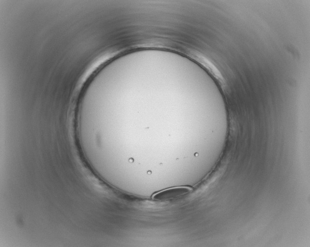 X0000115501138200911271404