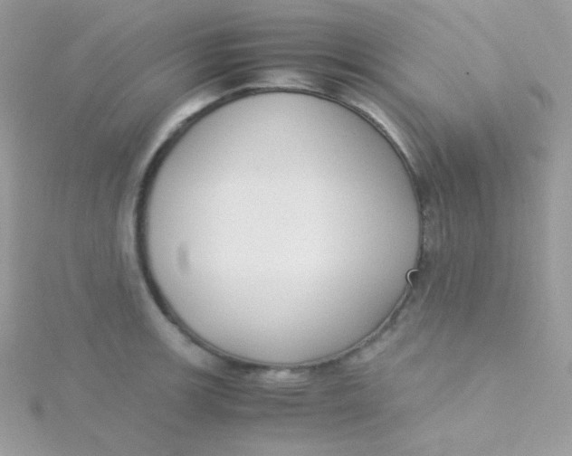 X0000115501139200911271404