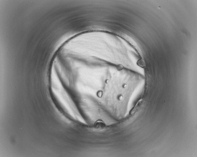 X0000115501141200911271404