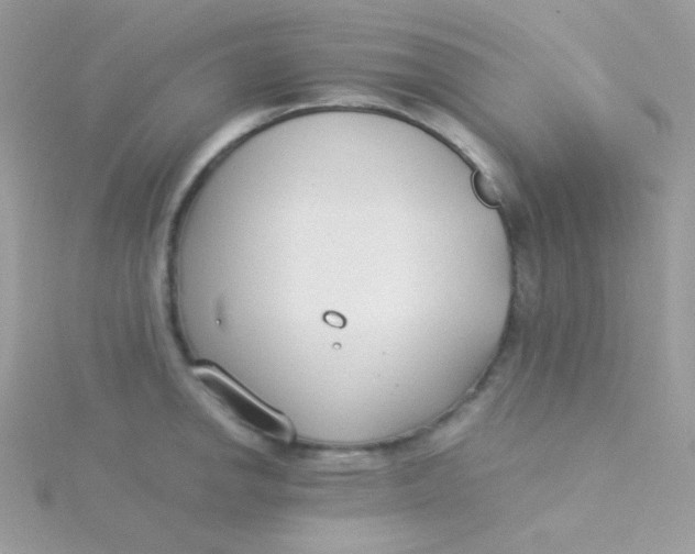 X0000115501142200911271404