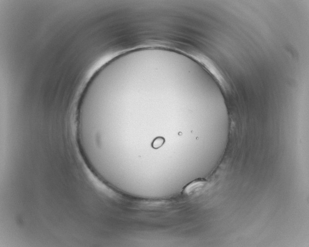 X0000115501143200911271404