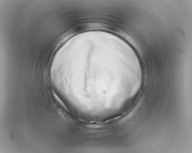 X0000115501145200911271404