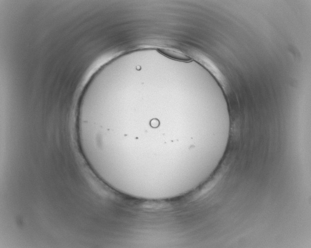 X0000115501146200911271404