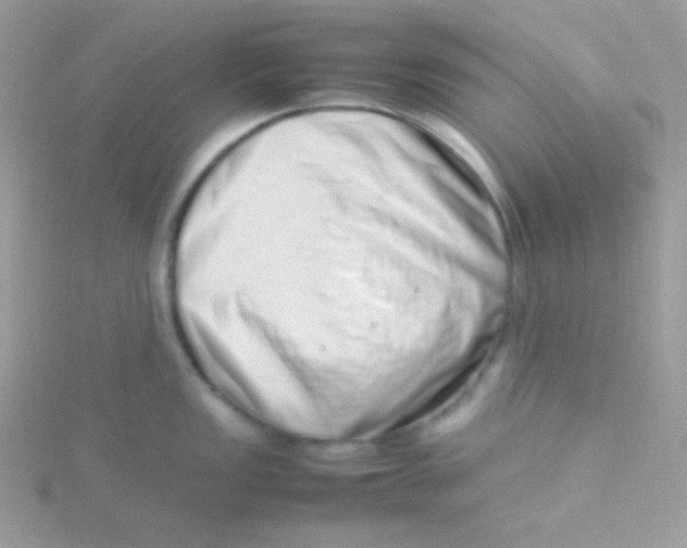 X0000115501149200911271404