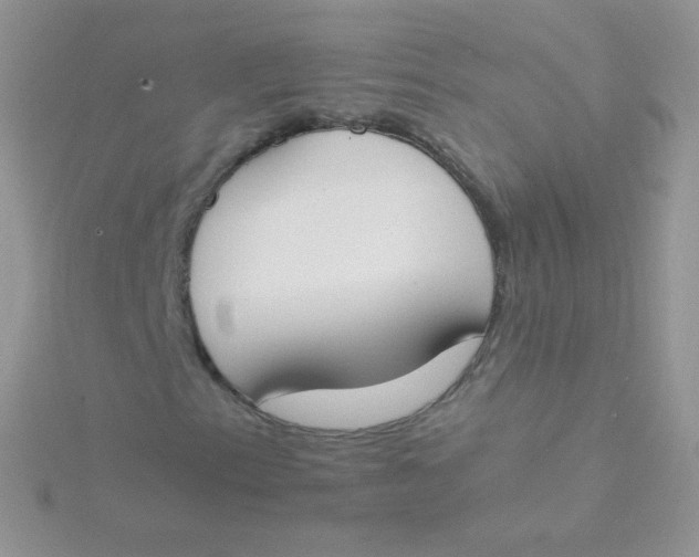 X0000115501153200911271404