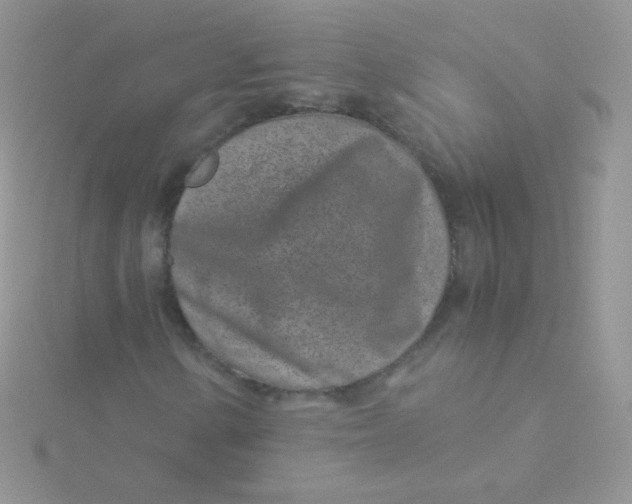 X0000115501154200911271404