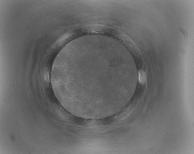 X0000115501155200911271404