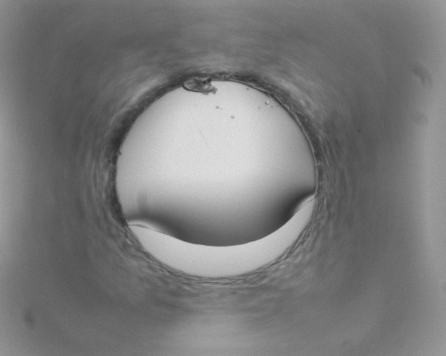 X0000115501157200911271404