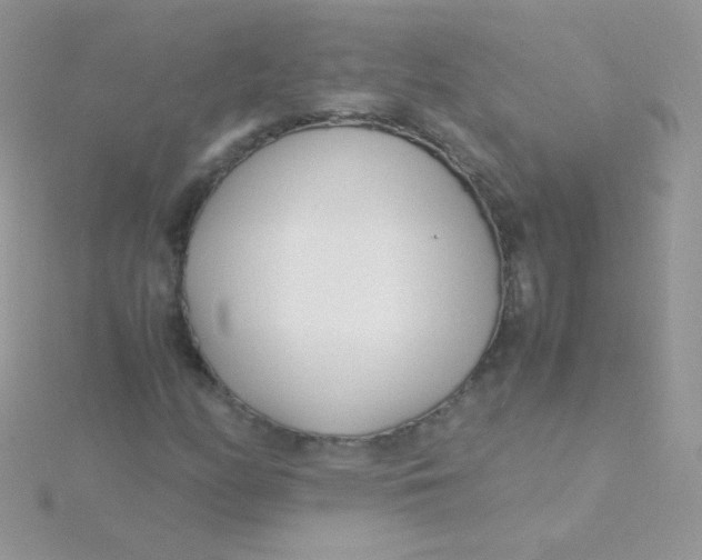 X0000115501158200911271404