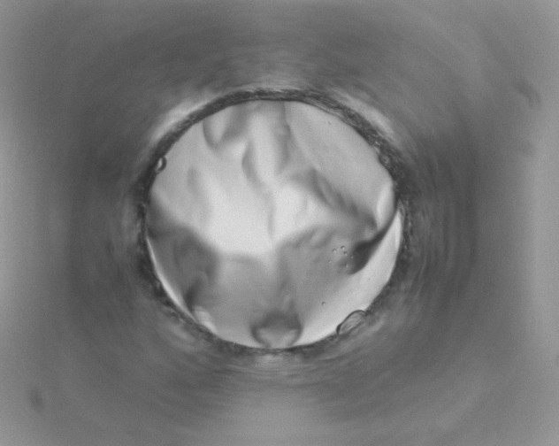 X0000115501160200911271403