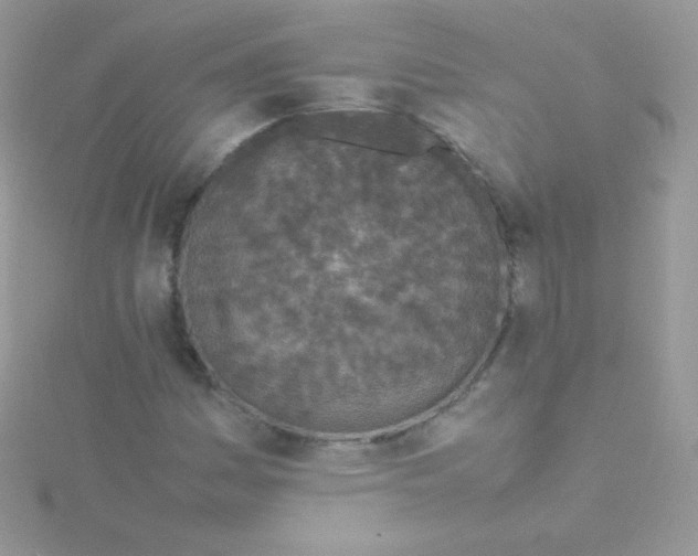 X0000115501161200911271403