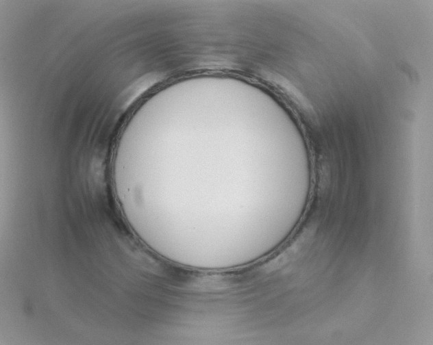 X0000115501162200911271403