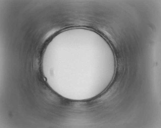 X0000115501163200911271403