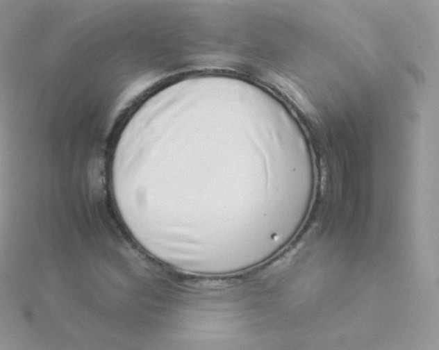 X0000115501164200911271403