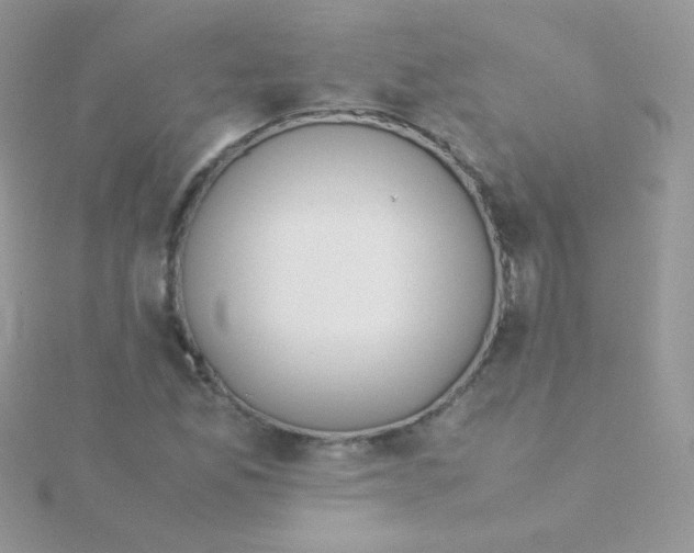 X0000115501165200911271403