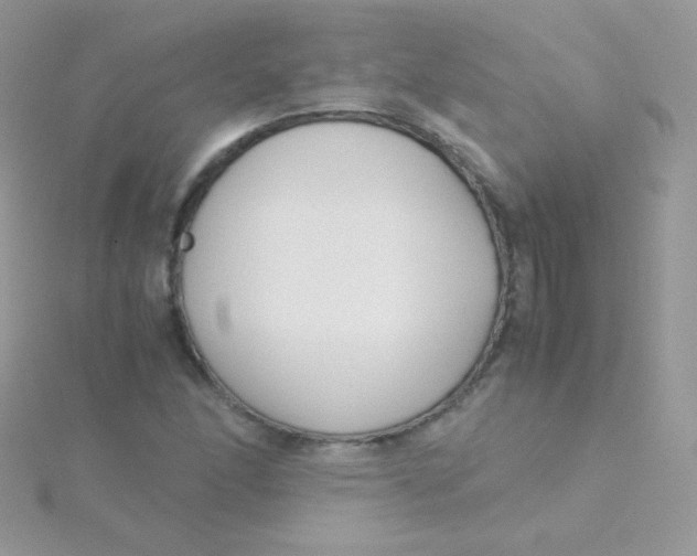 X0000115501166200911271403