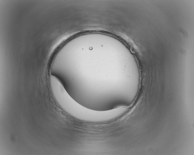 X0000115501167200911271403