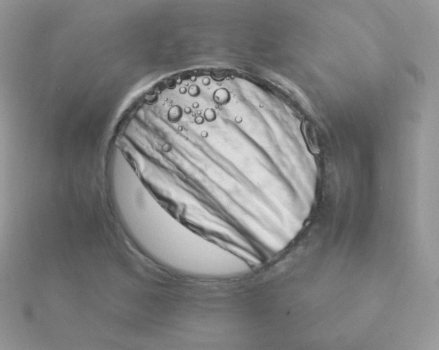 X0000115501168200911271403