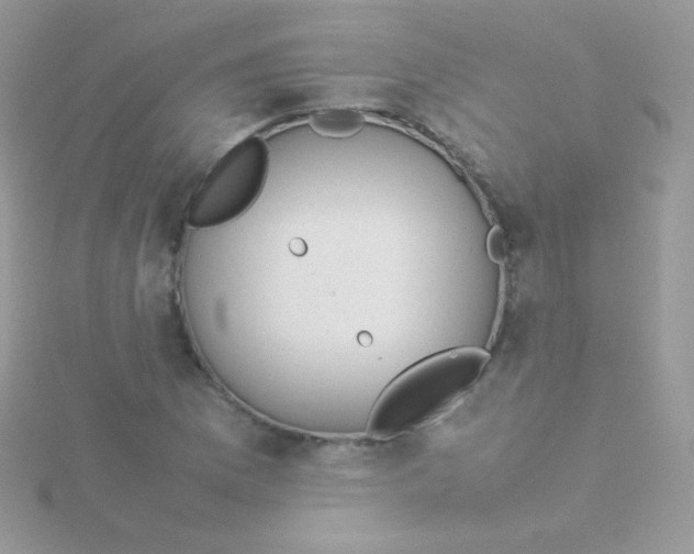 X0000115501169200911271403